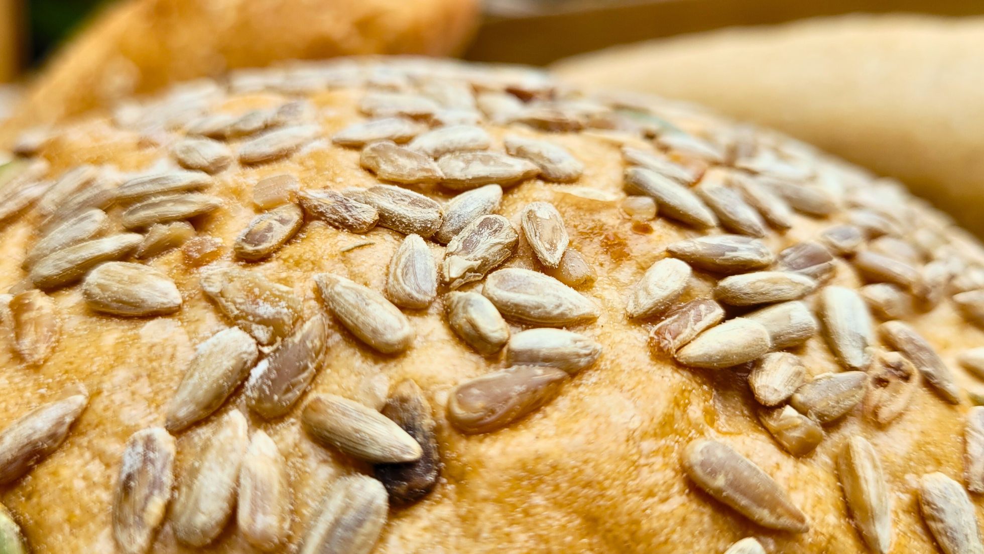 fresh baked bread at mints bakehouse & cafe, radisson blu hotel greater noida